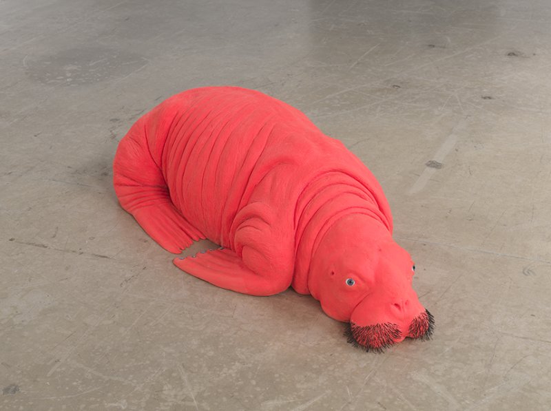 Carsten Höller. Morsa roja, 2011