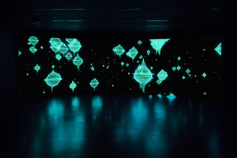 Susanne M. Winterling. Sensor planetario: navegaciones bajo la superficie, 2018