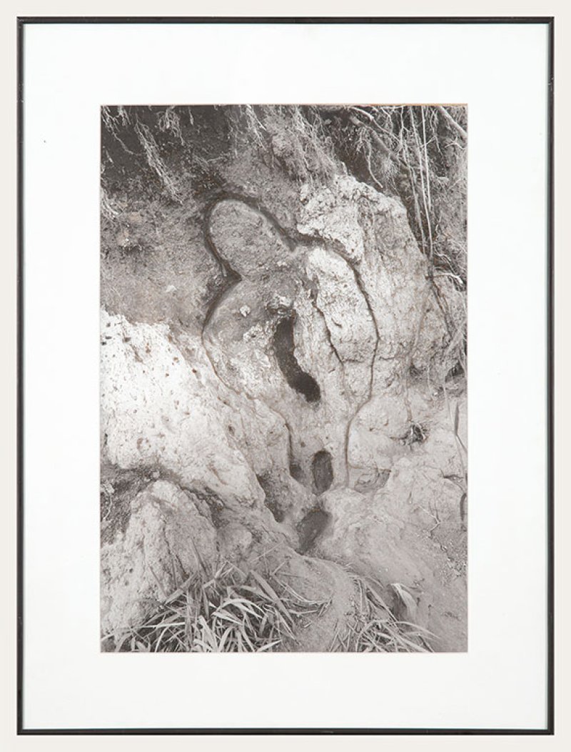 Ana Mendieta. Untitled, Iowa, 1981