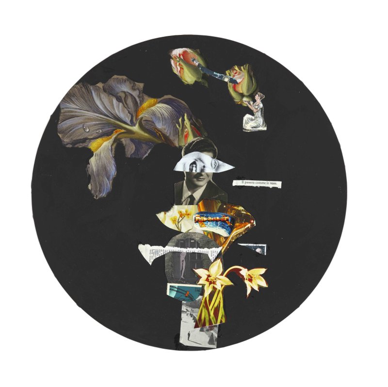 Isabel Coixet. Il passera comme le reste, 2014