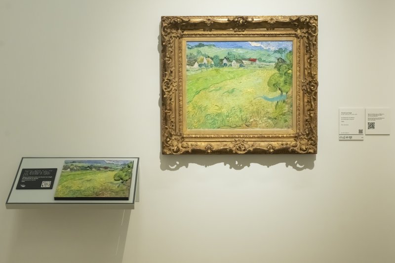 Relieve para la exploración táctil Relieve para la exploración táctil basado en la obra 'Les Vessenots in Auvers' de Vincent van Gogh