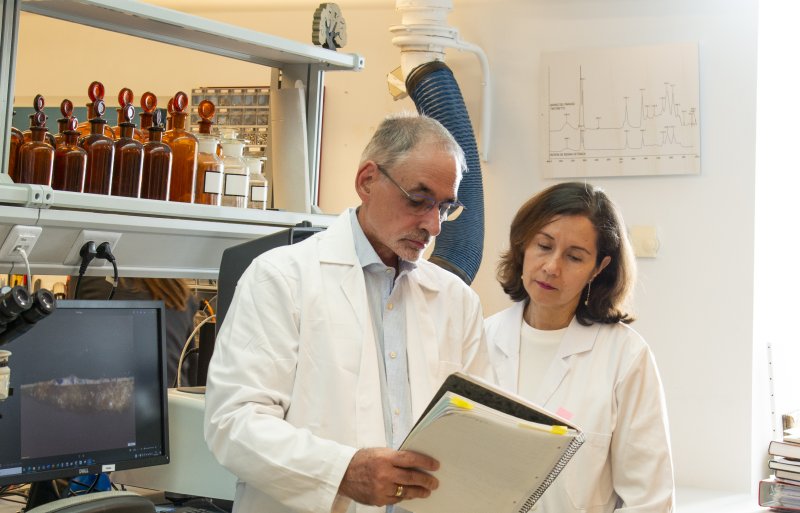 Proyectos de investigación: trabajo analítico para el proceso de restauración