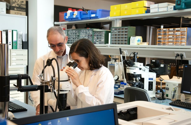 Laboratorio de materiales: investigación y estudios analíticos