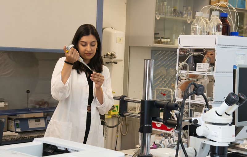 Equipo de laboratorio del área de restauración