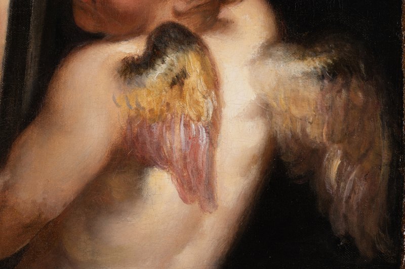 Detalle en macrofotografía de la obra de Rubens “Venus y Cupido”