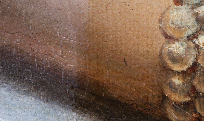 Detalle del proceso de limpieza de la obra “Venus y Cupido”, de Peter Paul Rubens