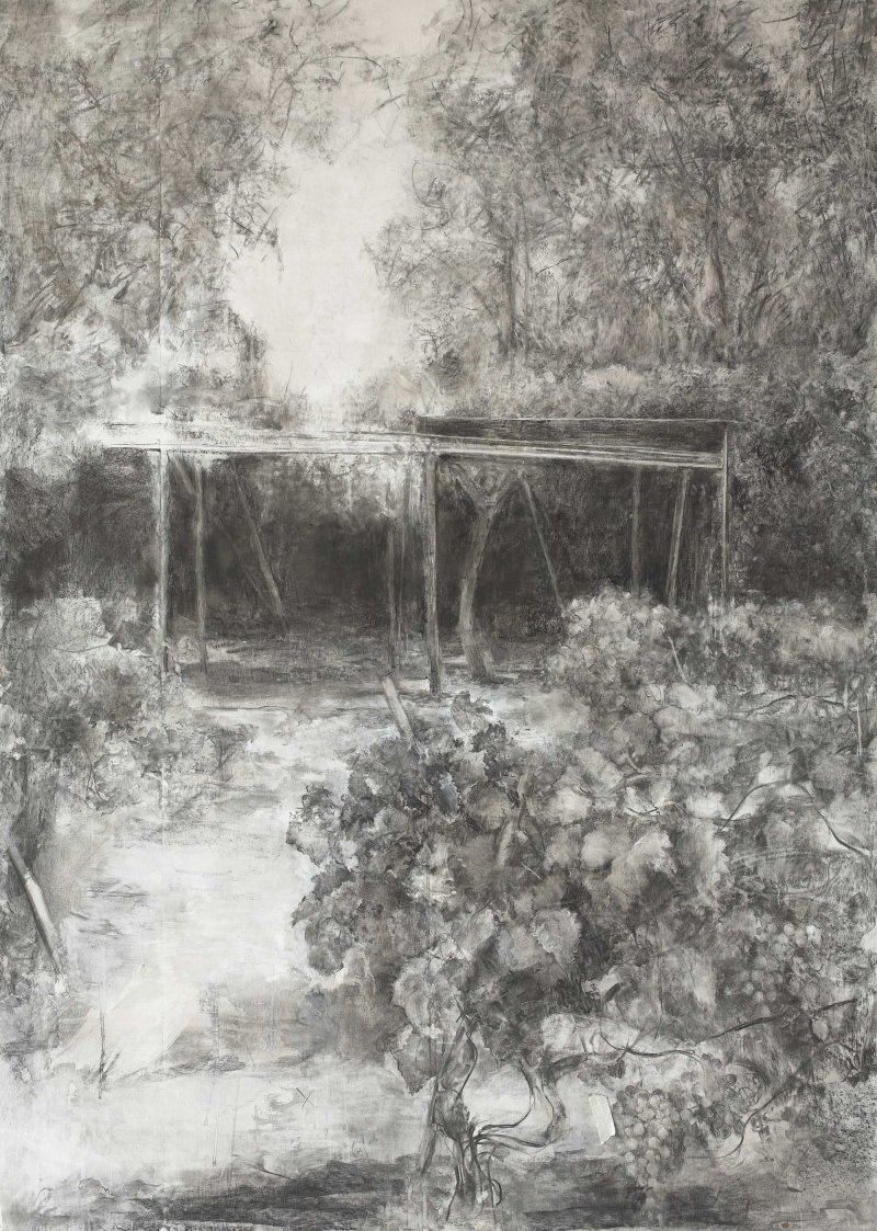 Carmen Laffón. View of the Vineyard I