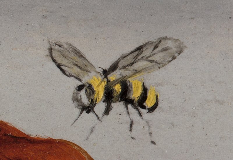 Detalle de la abeja de la obra “Un segundo antes del despertar de un sueño provocado por el vuelo de una abeja alrededor de una granada”, de Salvador Dalí