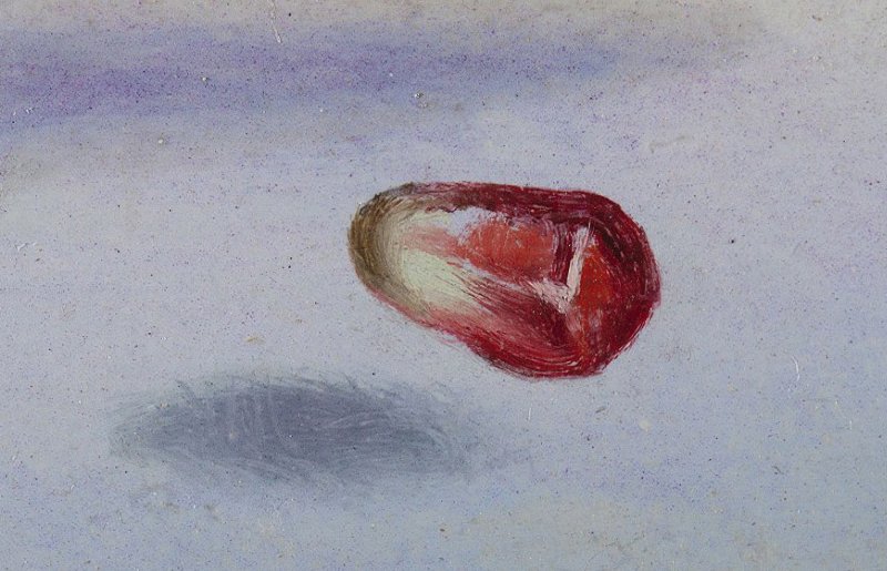 Detalle de la obra de Dalí “Un segundo antes del despertar de un sueño provocado por el vuelo de una abeja alrededor de una granada”
