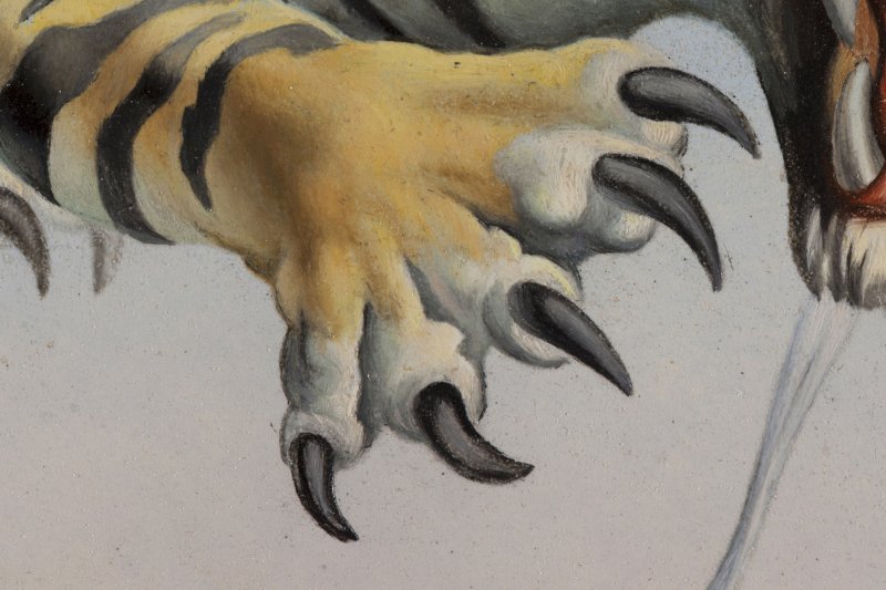 Vista de detalle de la obra “Un segundo antes del despertar de un sueño provocado por el vuelo de una abeja alrededor de una granada”, de Salvador Dalí