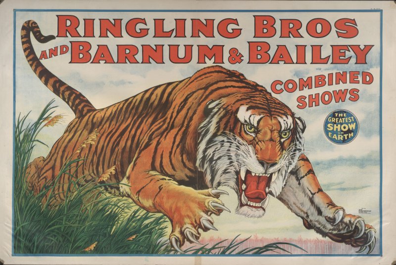 Ringling Bros. and Barnum & Bailey: Tigre saltando,1923 Ringling Bros. and Barnum & Bailey: Tigre saltando,1923