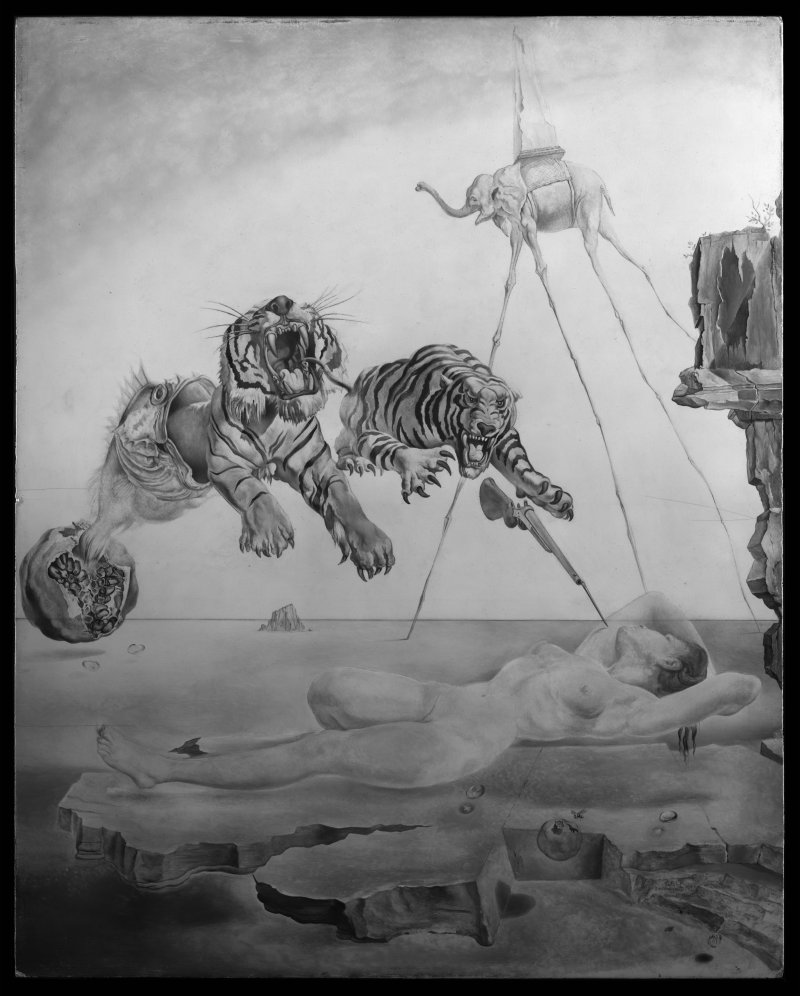 Reflectografía infrarroja de la obra de Dalí “Un segundo antes del despertar de un sueño provocado por el vuelo de una abeja alrededor de una granada”