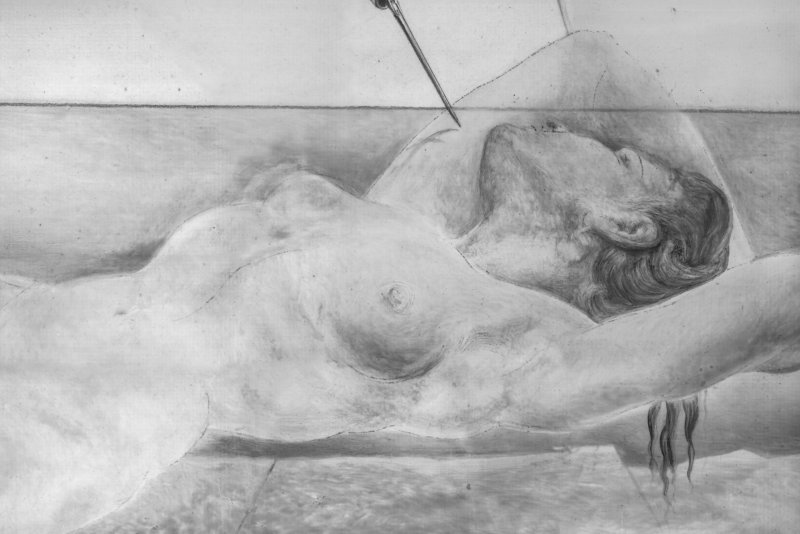 Detalle de la reflectografía infrarroja de la obra “Un segundo antes del despertar de un sueño provocado por el vuelo de una abeja alrededor de una granada”, de Salvador Dalí