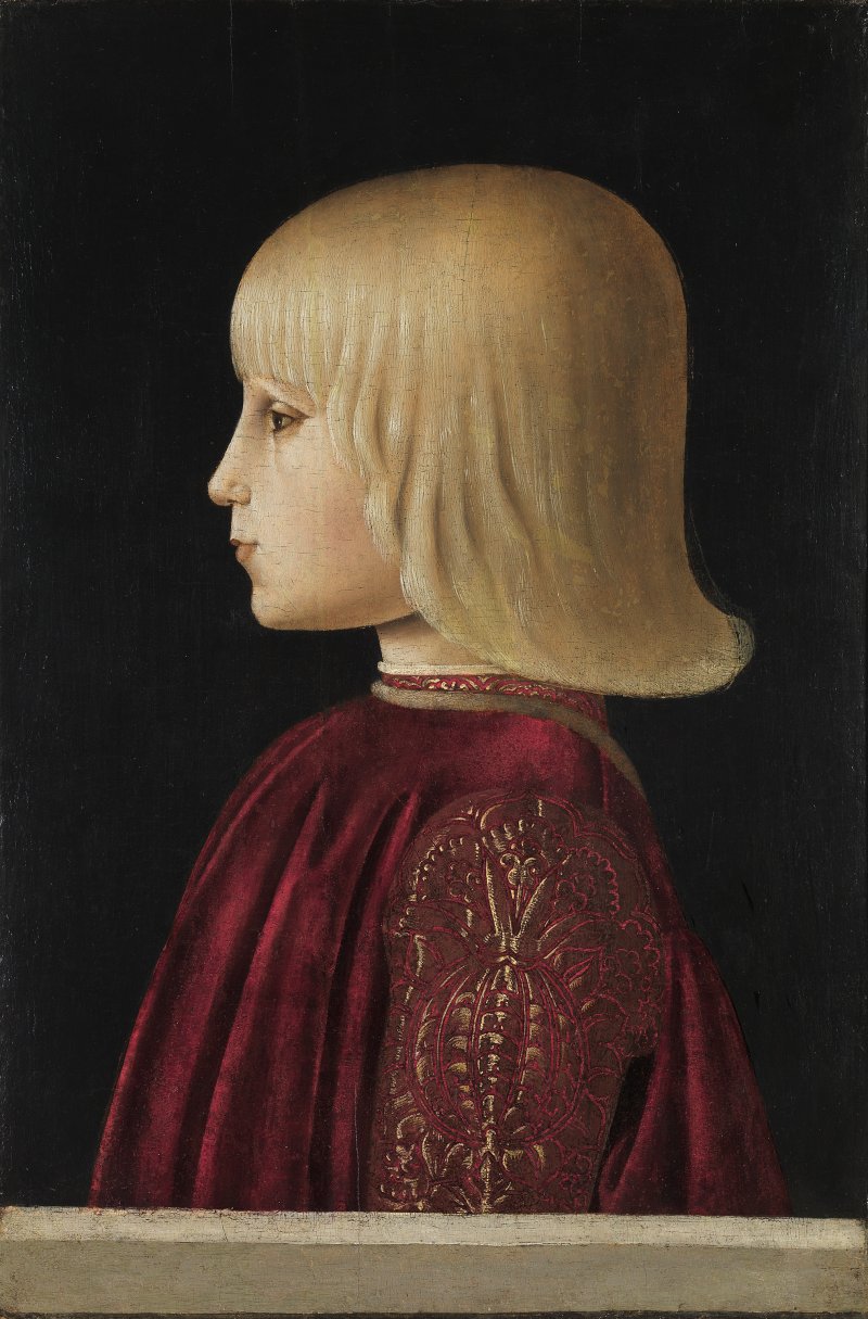 Portrait of a Boy. (Guidobaldo Da Montefeltro?). Retrato de un niño (¿Guidobaldo de Montefeltro?), c. 1483