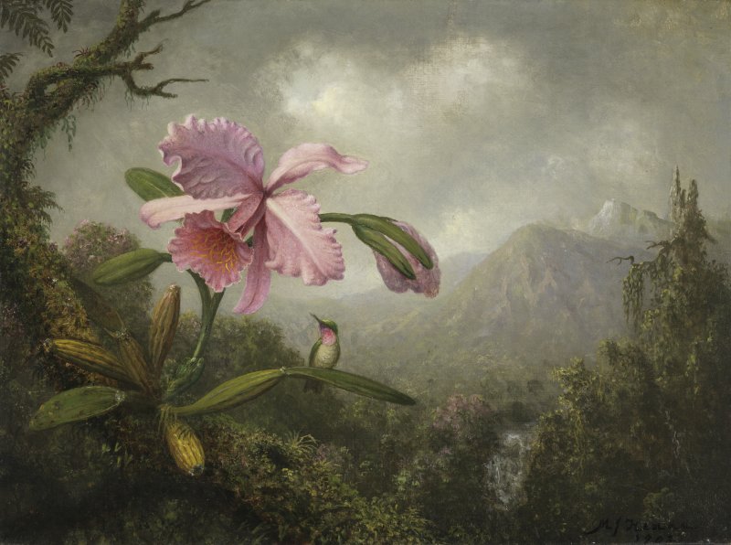 Orquídea y colibrí cerca de una cascada. Martin Johnson Heade