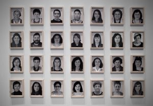 Fotografía de la exposición