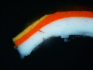 Detail of the micro-sample taken from the painting ''From the Plains II'', 1954
