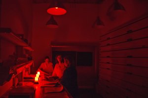 Radiographic study process in the darkroom
