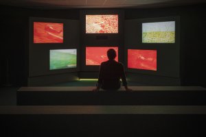 John Akomfrah. Listening All Night To The Rain. CANTO VIII. Installation View: Museo Nacional Thyssen-Bornemisza, 2025. Image by Maru Serrano. 