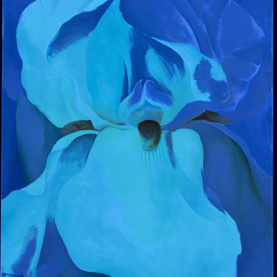 Imagen ultravioleta de la obra “Lirio blanco n.º 7”, 1957 Imagen ultravioleta de la obra “Lirio blanco n.º 7”, 1957