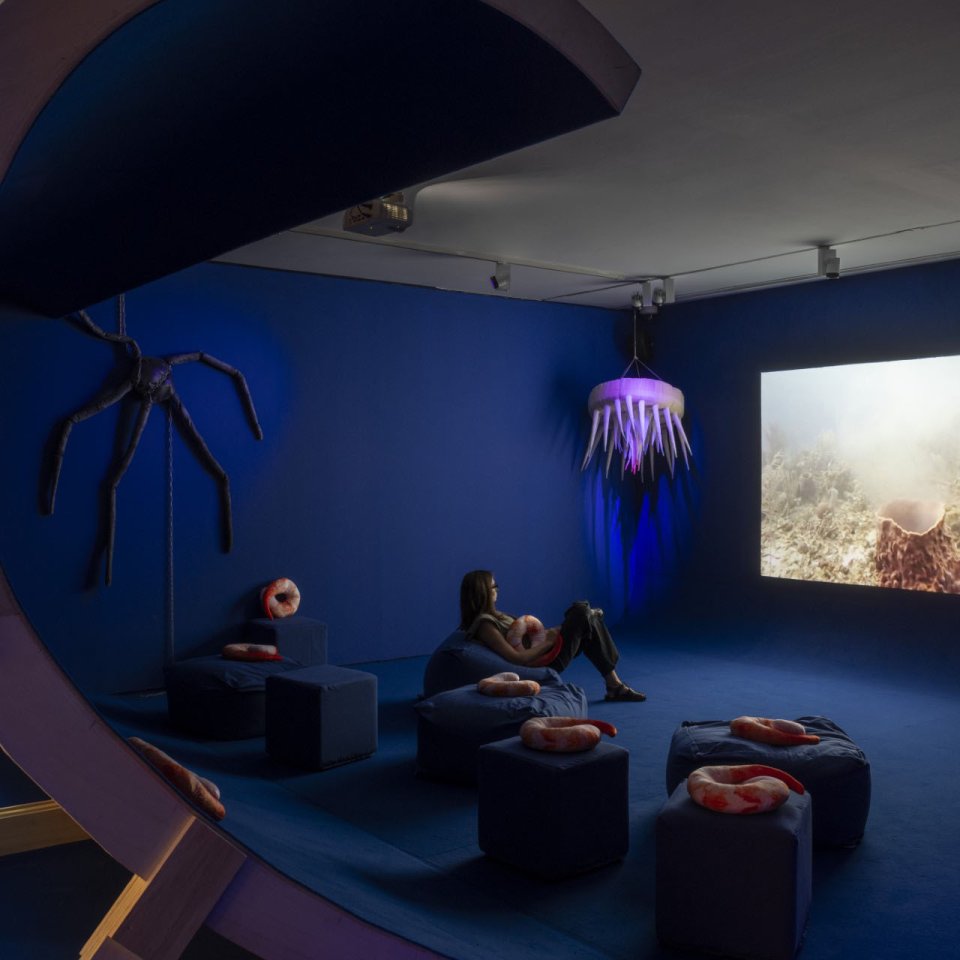 Salas de la exposici&oacute;n