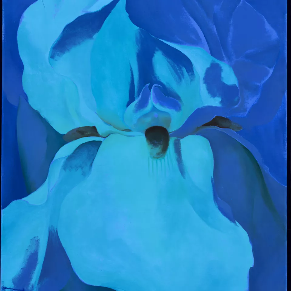 Imagen ultravioleta de la obra “Lirio blanco n.º 7”, 1957 Imagen ultravioleta de la obra “Lirio blanco n.º 7”, 1957