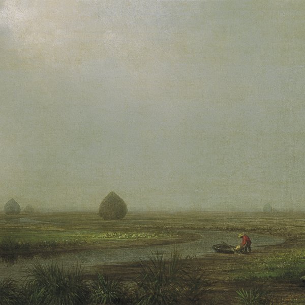 Martin Johnson Heade