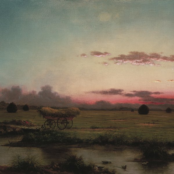 Martin Johnson Heade