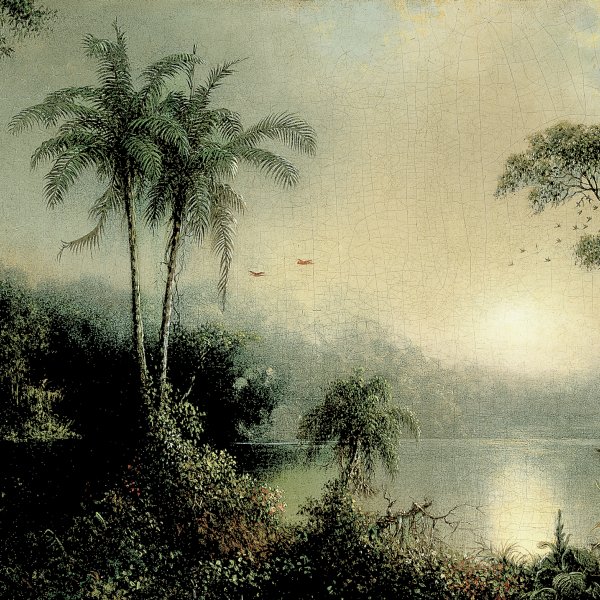 Martin Johnson Heade