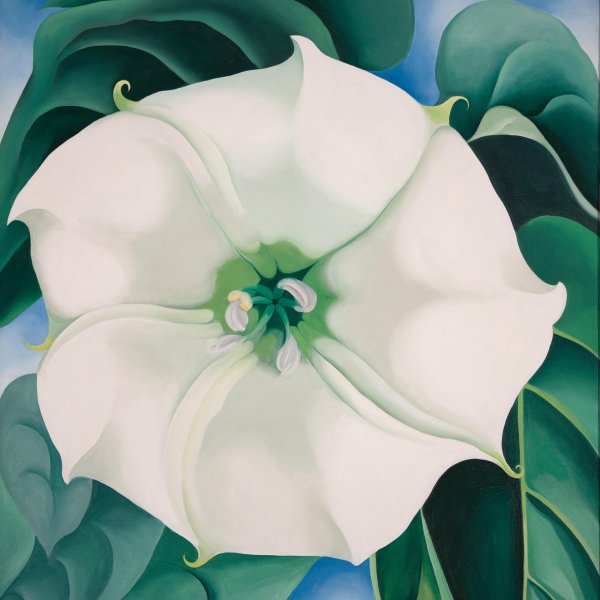 Recreación del proceso creativo de Georgia O’Keeffe
