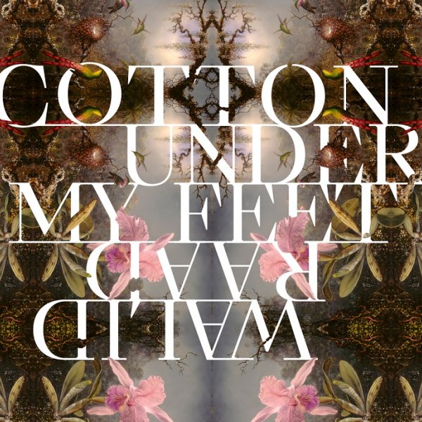 Walid Raad. Cotton Under My Feet
