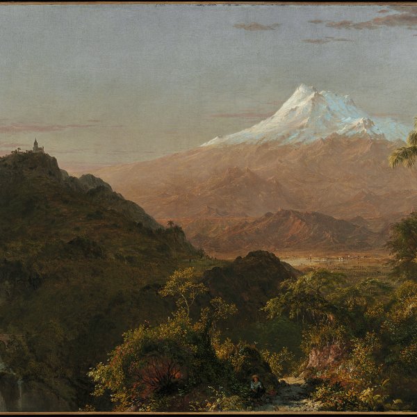 South American Landscape