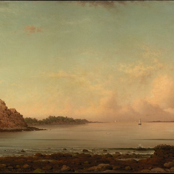 Martin Johnson Heade