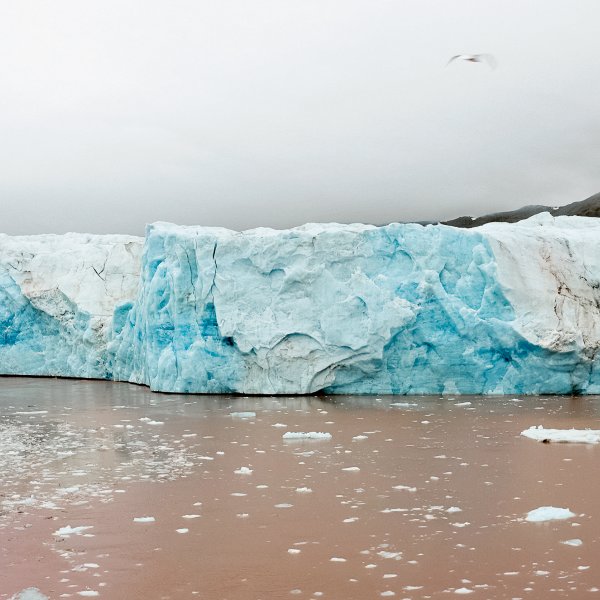 V Simposio de Arte y Ciencia CNIO Arte 2024: El arte, la ciencia y la ecología ante el cambio climático
