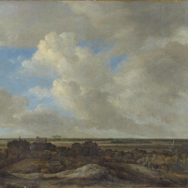View Inland from the Coastal Dunes