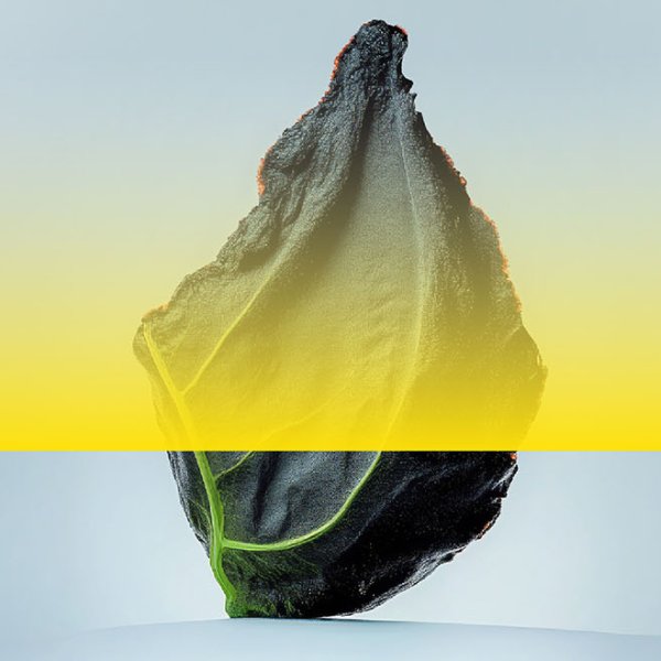 © Diseño: Koln Studio 