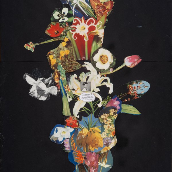 Isabel Coixet. Collages