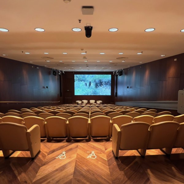 Auditorium