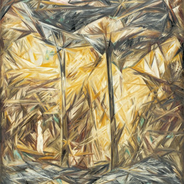 Natalia  Goncharova