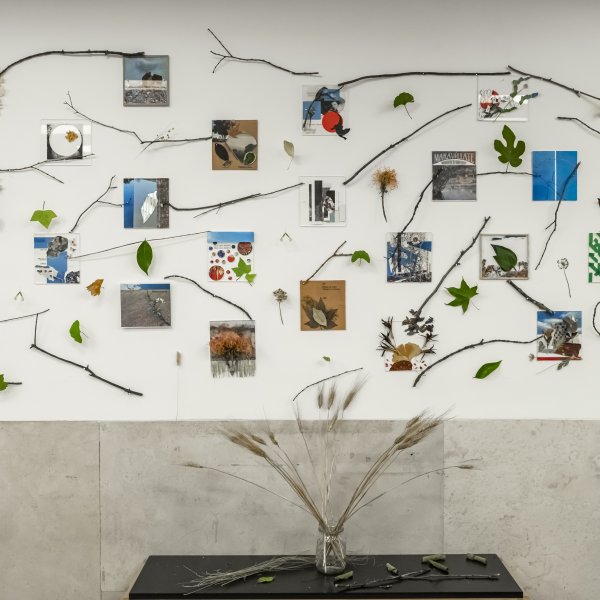 LED 2025: Memorias de un bosque interior