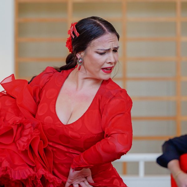 Paula Rodríguez. Take shelter in culture 2025