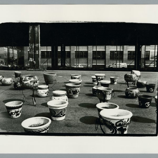 Daily repetitions. Contest on Instagram