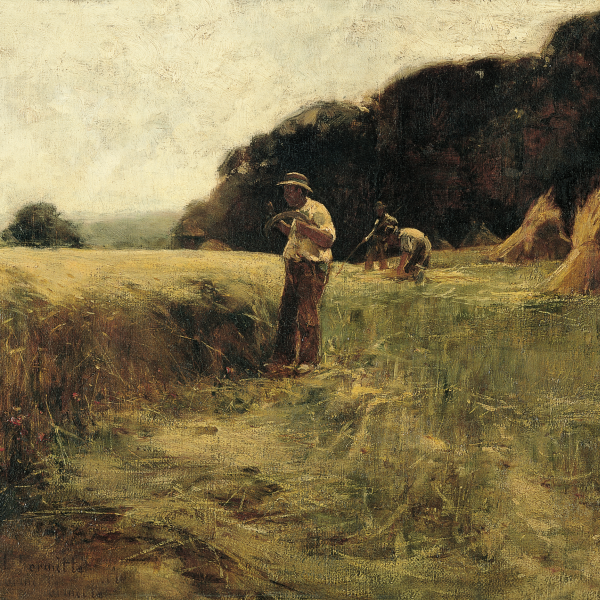 The Harvesters