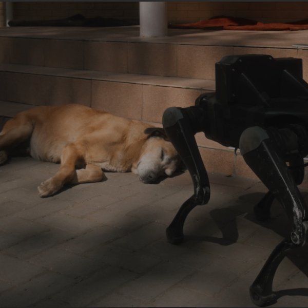 Pedagogías de guerra: recorridos nocturnos