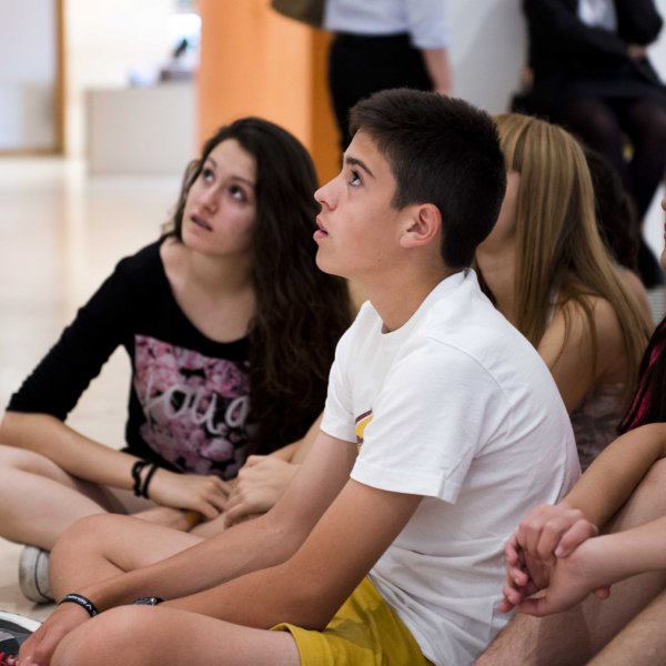 Visitas para grupos escolares