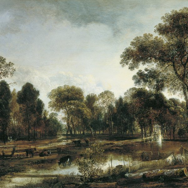 Wooded River Landscape