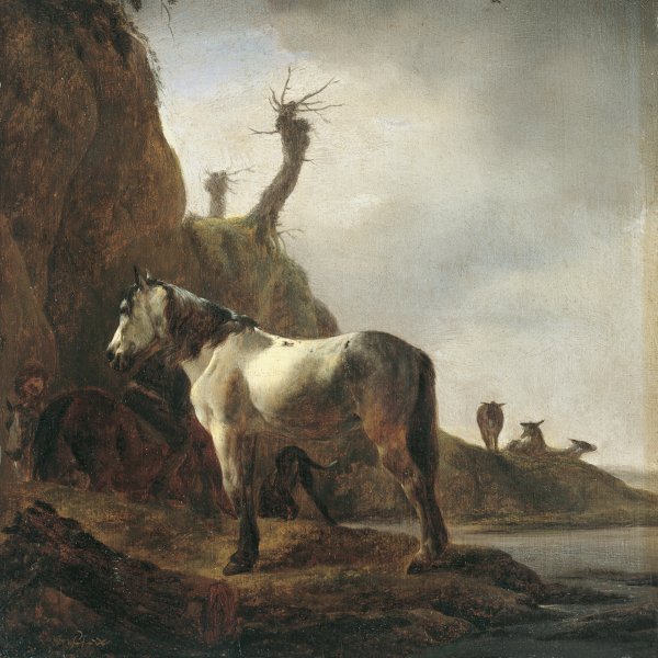 Caballo blanco a la orilla de un río