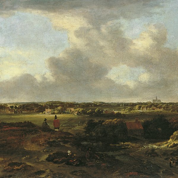 Vista de Haarlem desde las dunas