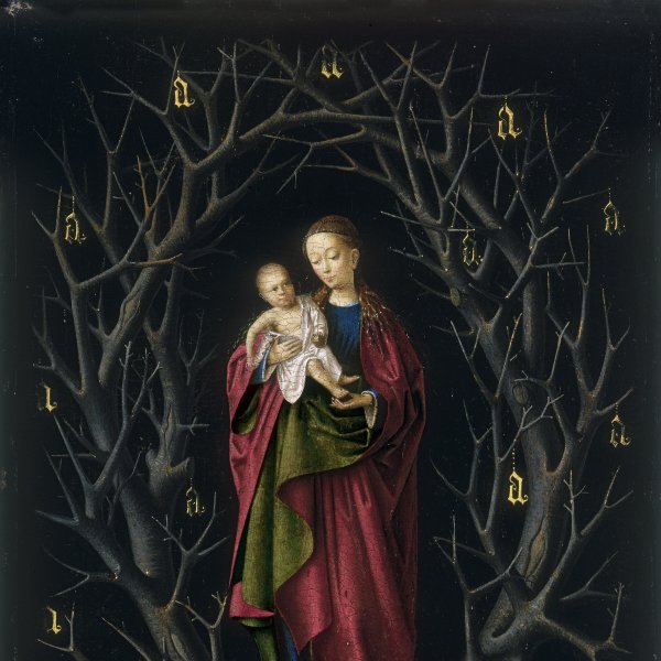The Virgin of the dry Tree