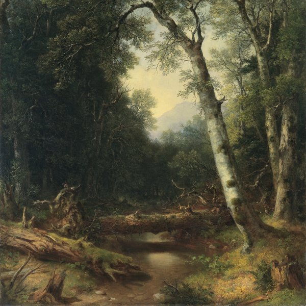 A Creek in the Woods